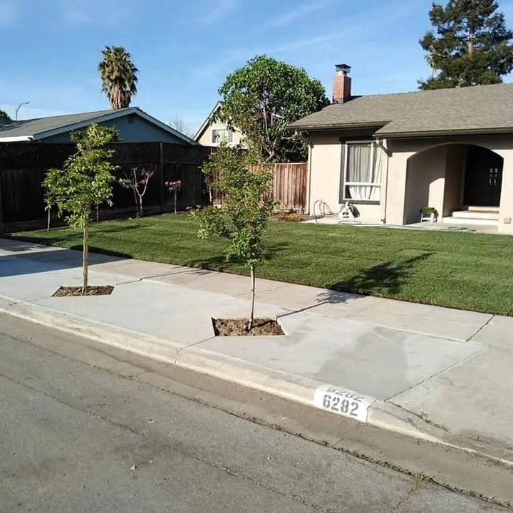 Reliable landscape design for beautiful yards across San Jose, CA - Bay Area Landscape & Maintenance