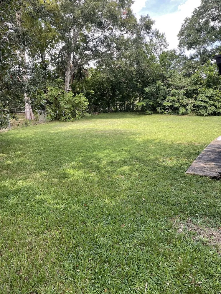 Custom lawn care service in Tampa, FL - Bay Area Landscape and Pressure Washing