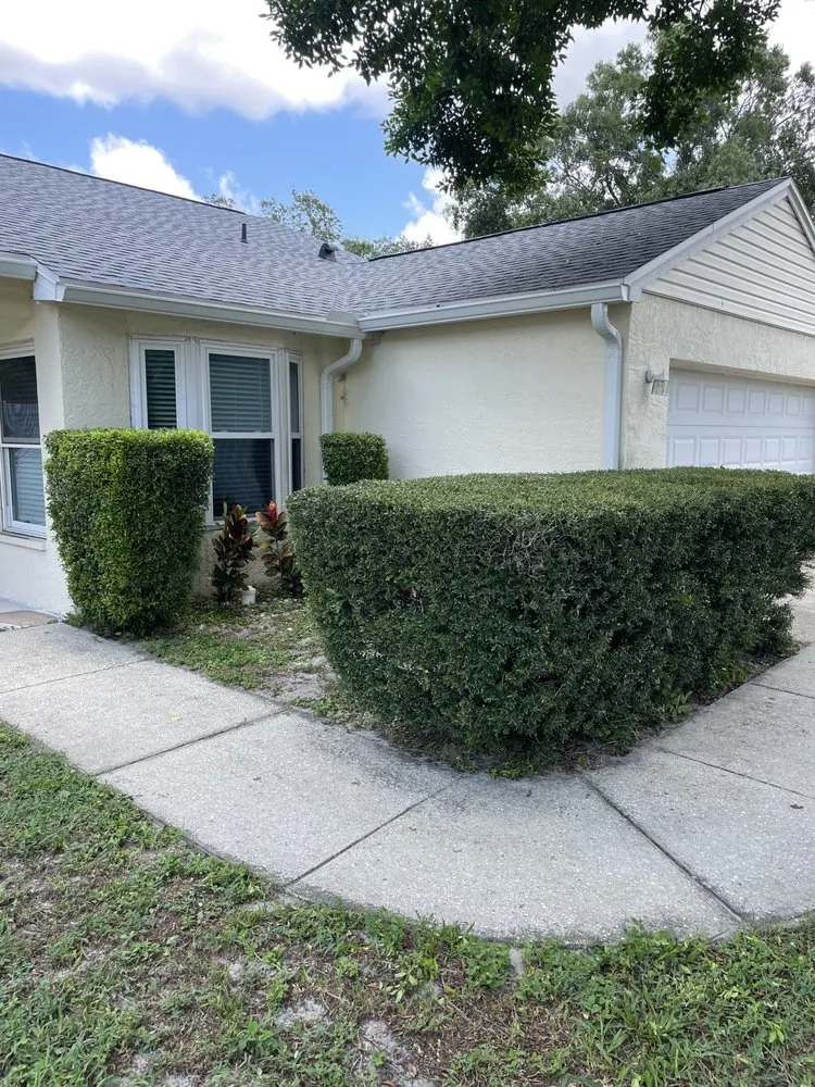 Expert lawn care service for homes across Tampa, FL - Bay Area Landscape and Pressure Washing