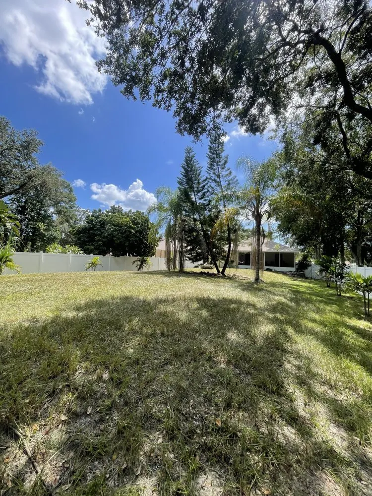 Expert lawn mowing service for homes across Tampa, FL - Bay Area Landscape and Pressure Washing