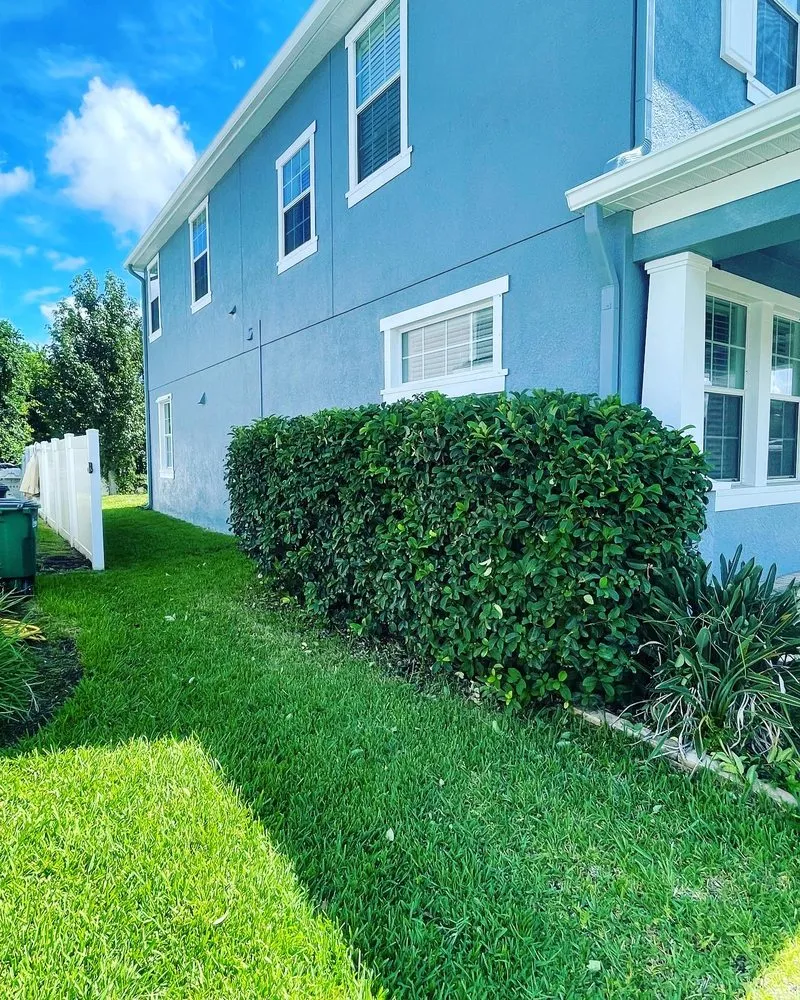 Expert garden landscaping in Tampa, FL - Bay Area Landscape and Pressure Washing