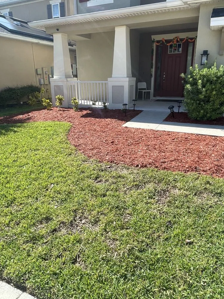 Trusted landscape installation in Tampa, FL - Bay Area Landscape and Pressure Washing