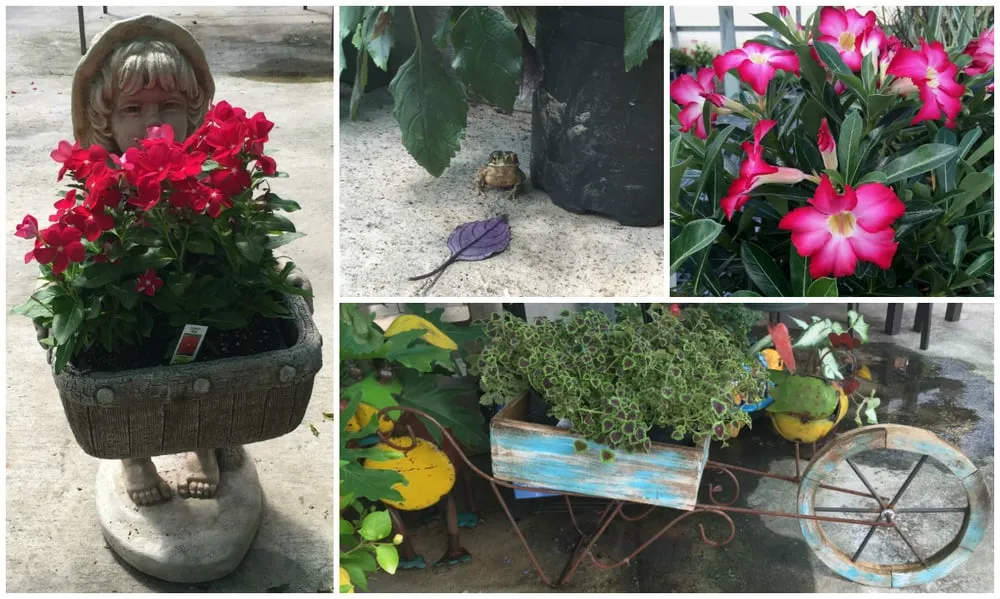 Local landscape installation for outdoor upgrades in Corpus Christi, TX by Bay Area Landscape Material