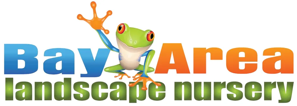 Affordable lawn mowing service for year-round maintenance in Corpus Christi, TX by Bay Area Landscape Material