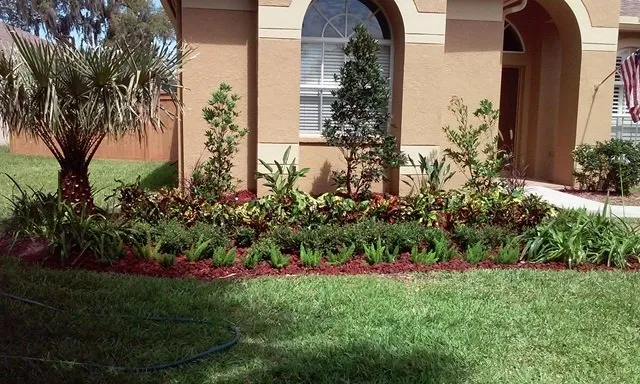 Expert yard cleanup service near you across Clearwater, FL - Bay Area Landscapers