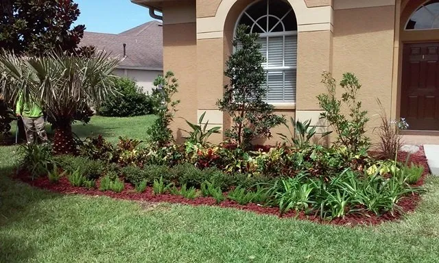 Custom lawn care service in Clearwater, FL - Bay Area Landscapers