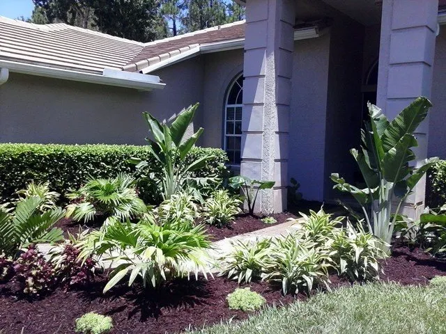 Expert residential landscaping in Clearwater, FL by Bay Area Landscapers