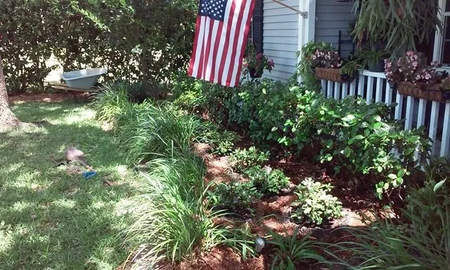 Custom yard maintenance for beautiful yards across Clearwater, FL - Bay Area Landscapers