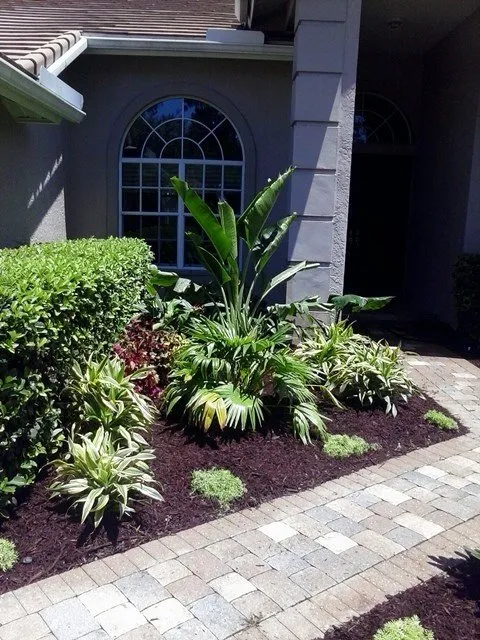 Top-rated landscaping services experts serving Clearwater, FL - Bay Area Landscapers