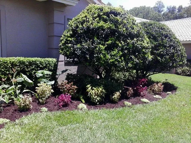 Reliable garden landscaping in Clearwater, FL - Bay Area Landscapers