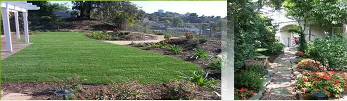Local lawn care service in San Lorenzo, CA by Bay Area Landscapes