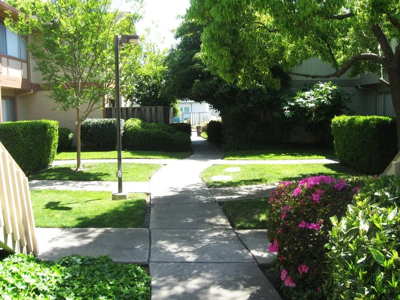 Top-rated residential landscaping experts serving San Lorenzo, CA - Bay Area Landscapes