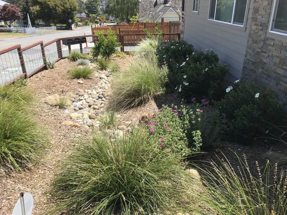 Expert landscape design for outdoor upgrades across San Lorenzo, CA - Bay Area Landscapes