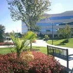 Custom yard maintenance experts serving San Lorenzo, CA - Bay Area Landscapes