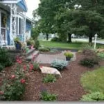 Custom landscape design for beautiful yards across San Lorenzo, CA - Bay Area Landscapes