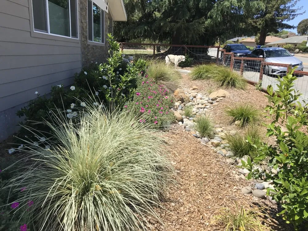 Reliable landscaping services in San Lorenzo, CA - Bay Area Landscapes