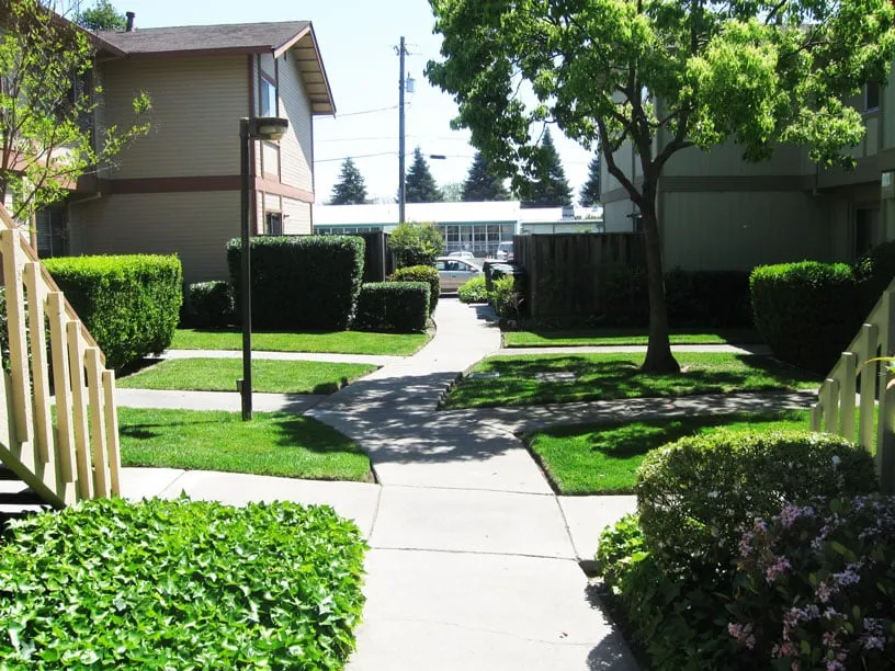 Trusted garden landscaping in San Lorenzo, CA by Bay Area Landscapes