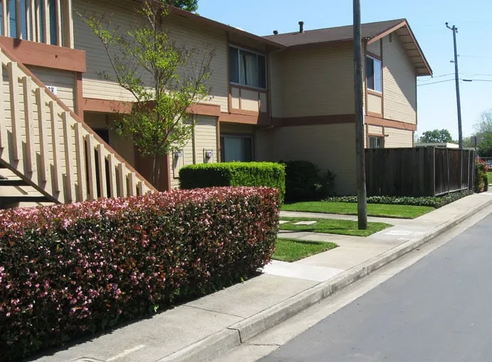 Local landscaping services experts serving San Lorenzo, CA - Bay Area Landscapes