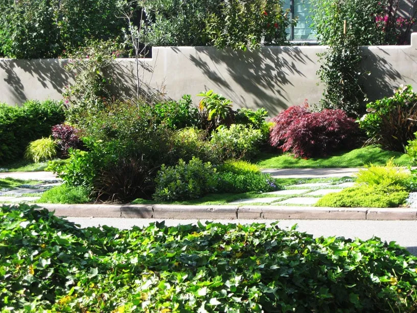 Expert yard cleanup service in San Lorenzo, CA - Bay Area Landscapes
