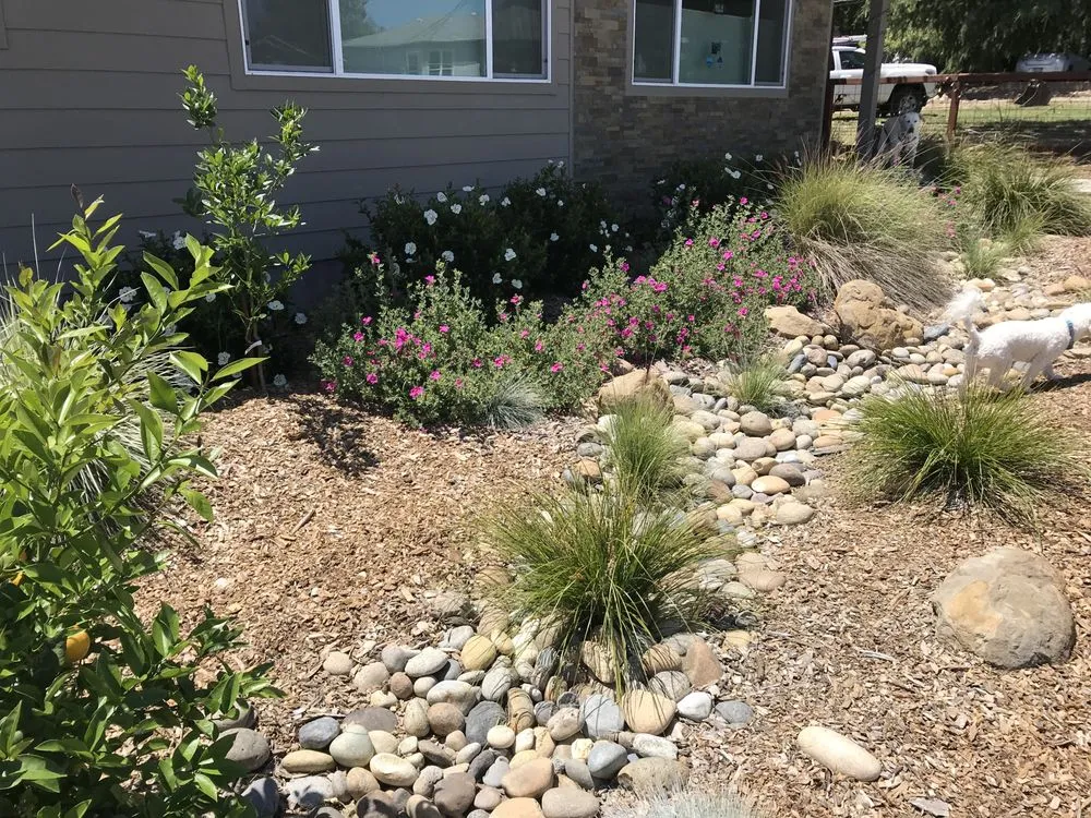 Local landscape installation in San Lorenzo, CA by Bay Area Landscapes