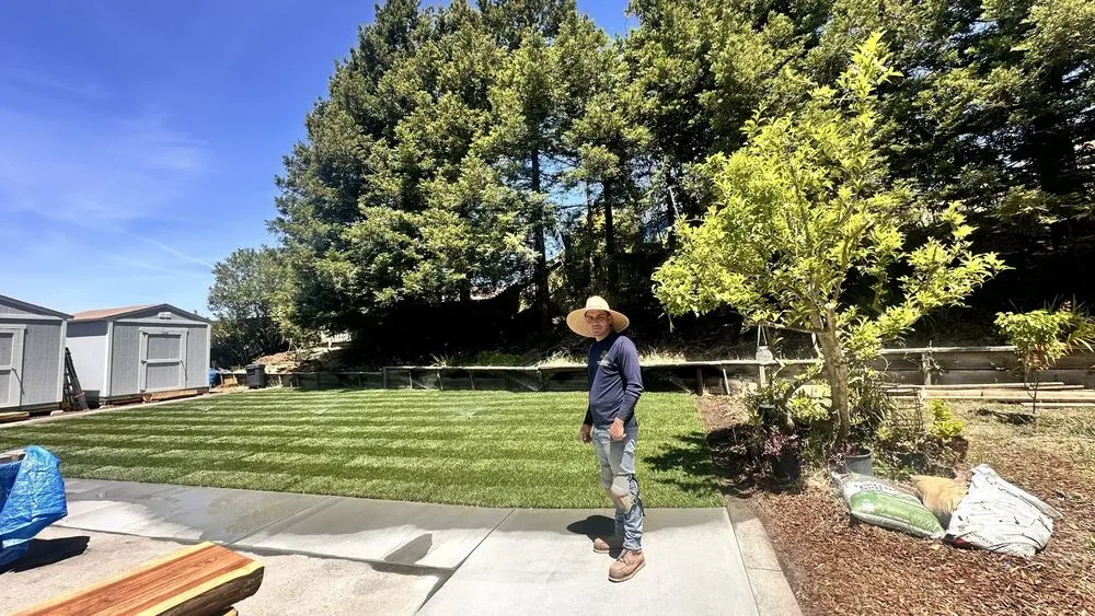 Custom landscape design for homes across Colma, CA - Bay Area Landscaping