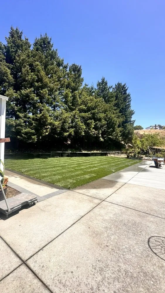 Top-rated lawn care service in Colma, CA by Bay Area Landscaping