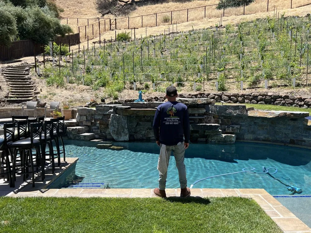 Custom lawn care service experts serving Colma, CA - Bay Area Landscaping