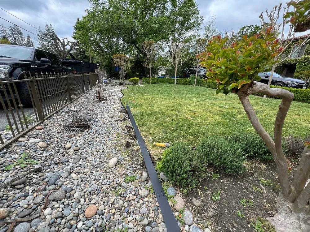 Top-rated landscaping services in Concord, CA by Bay Area Landscaping