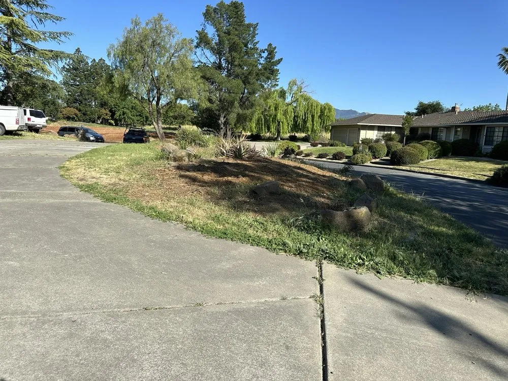 Affordable landscaping services experts serving Concord, CA - Bay Area Landscaping