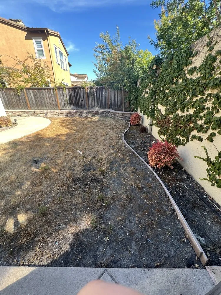 Affordable residential landscaping near you in Concord, CA by Bay Area Landscaping
