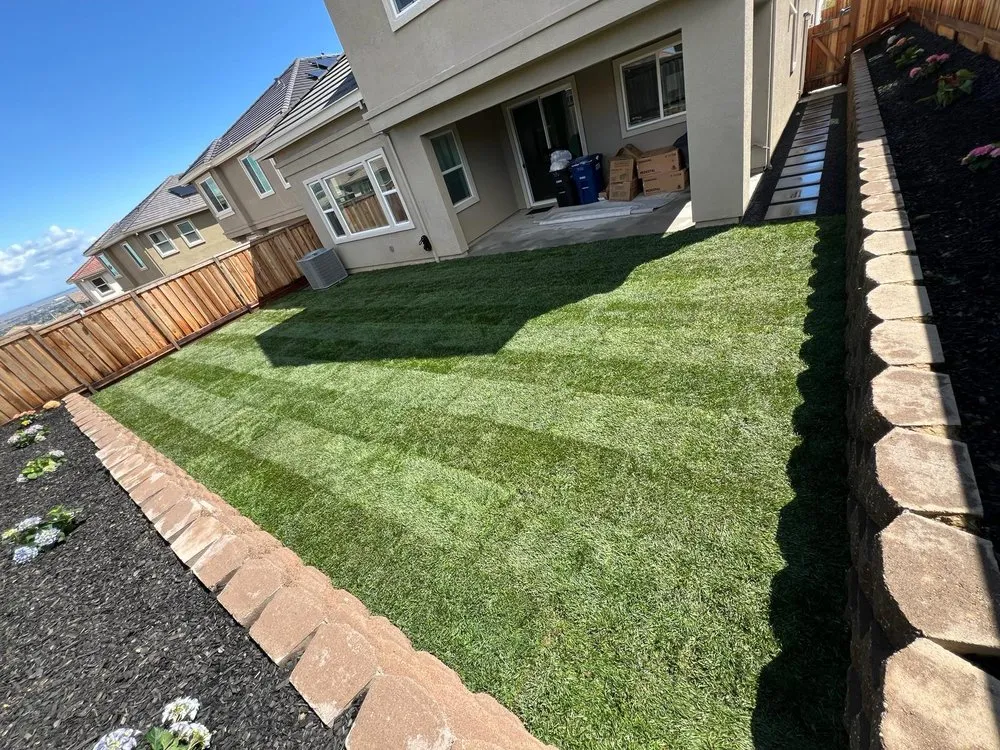 Affordable landscaping services near you in Concord, CA by Bay Area Landscaping