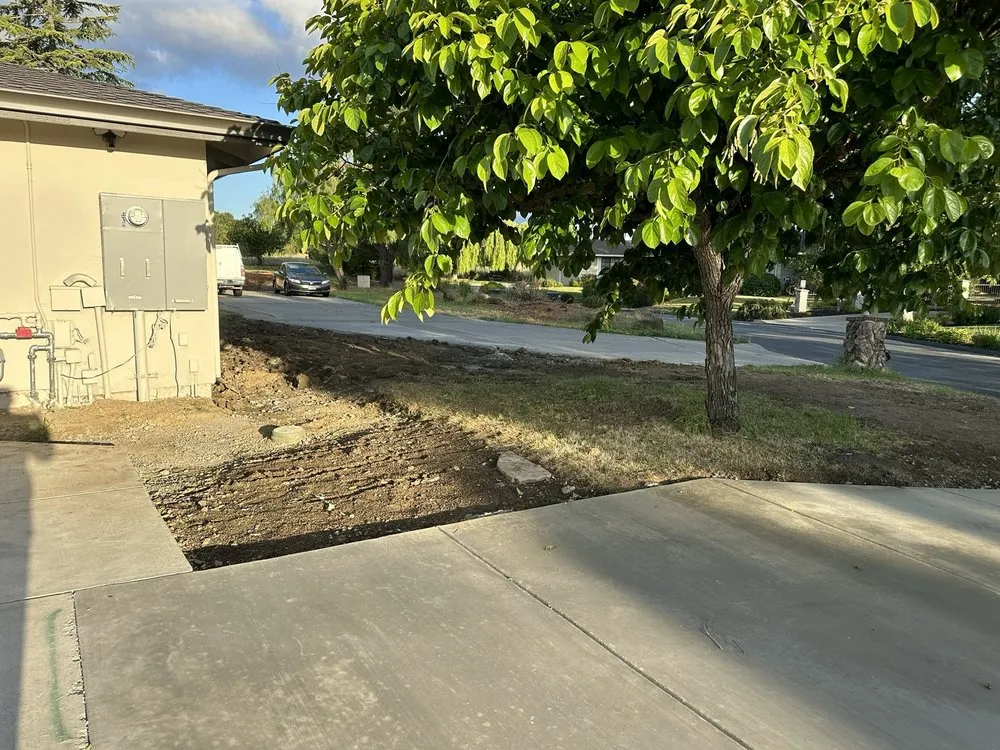 Professional lawn mowing service in Concord, CA by Bay Area Landscaping