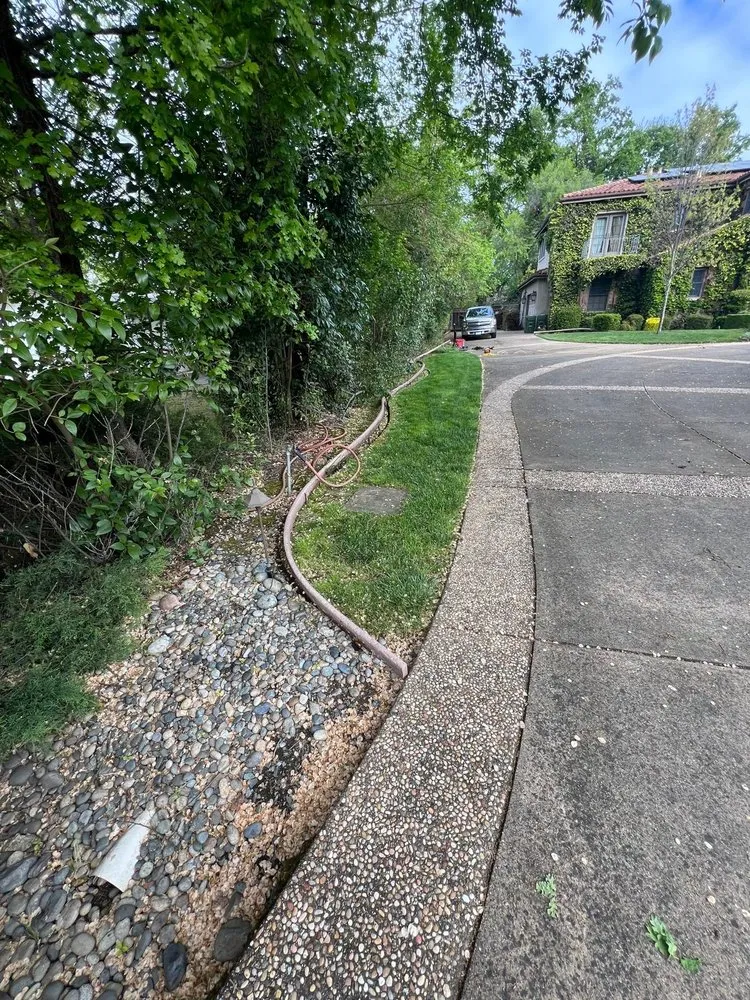 Custom landscape design in Concord, CA by Bay Area Landscaping