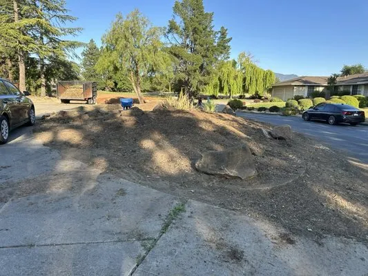 Bay Area Landscaping Logo