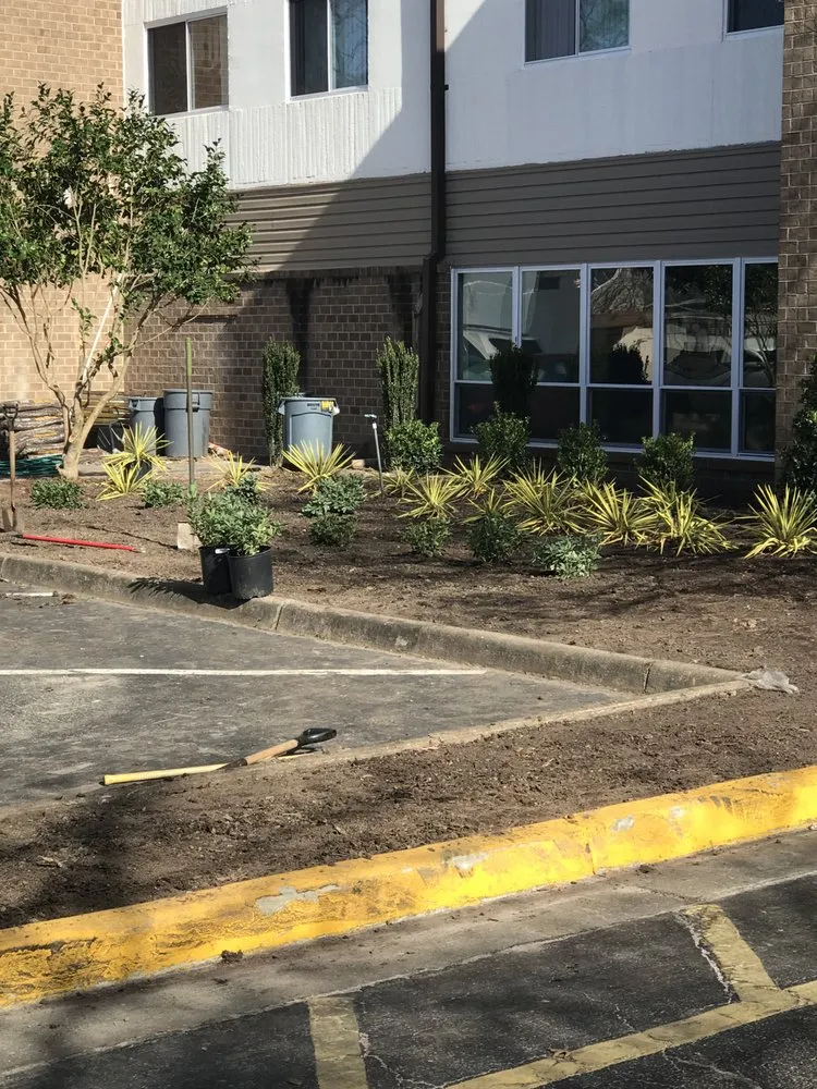 Local landscape installation for year-round maintenance across Hampton, VA - Bay Area Landscaping