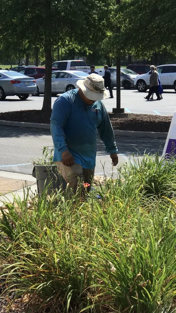 Trusted landscape design experts serving Hampton, VA - Bay Area Landscaping