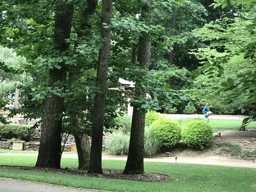 Affordable yard cleanup service for residential properties in Hampton, VA by Bay Area Landscaping