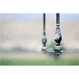 Custom lawn care service experts serving Land O Lakes, FL - Bay Area Lawn and Pest Control