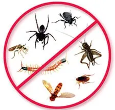 Reliable landscaping services for year-round maintenance across Land O Lakes, FL - Bay Area Lawn and Pest Control