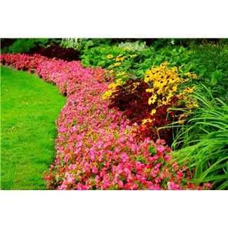 Professional residential landscaping in Land O Lakes, FL by Bay Area Lawn and Pest Control
