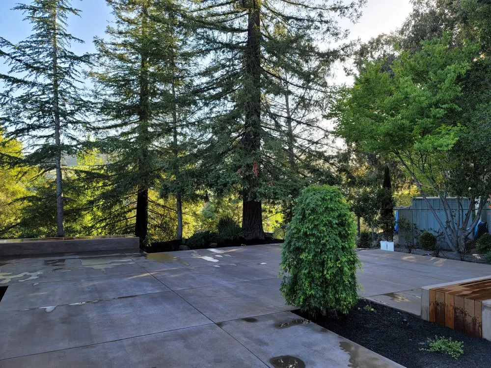 Affordable residential landscaping experts serving Bay Point, CA - Bay Area Lawn Care