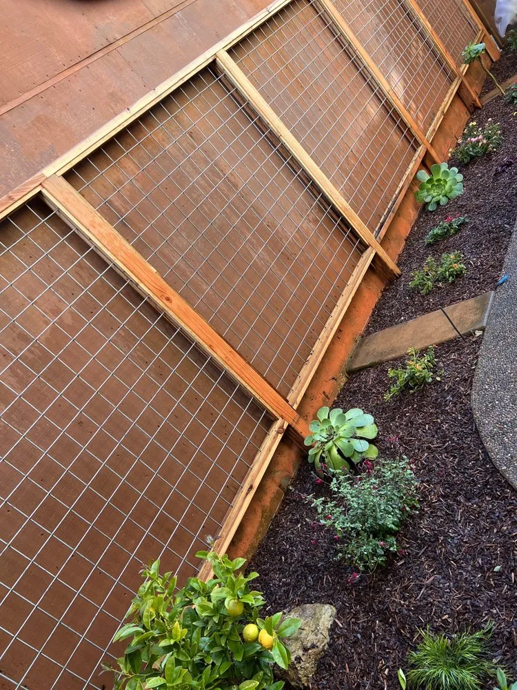 Expert landscaping services in Richmond, CA by Bay Area Maintenance