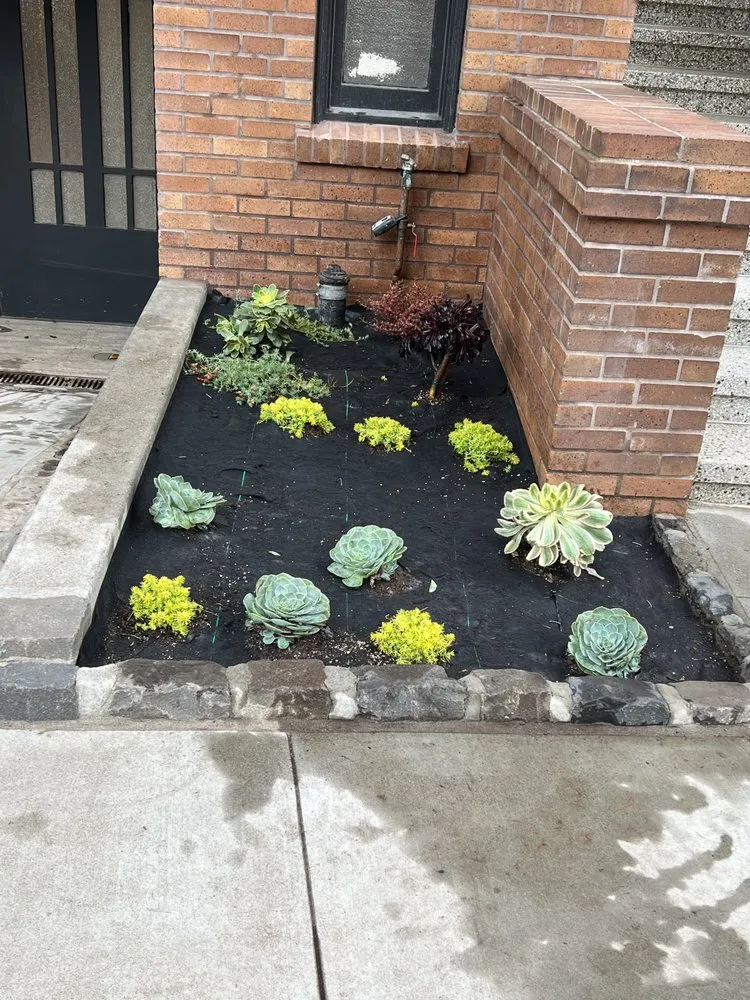 Professional landscaping services experts serving Richmond, CA - Bay Area Maintenance