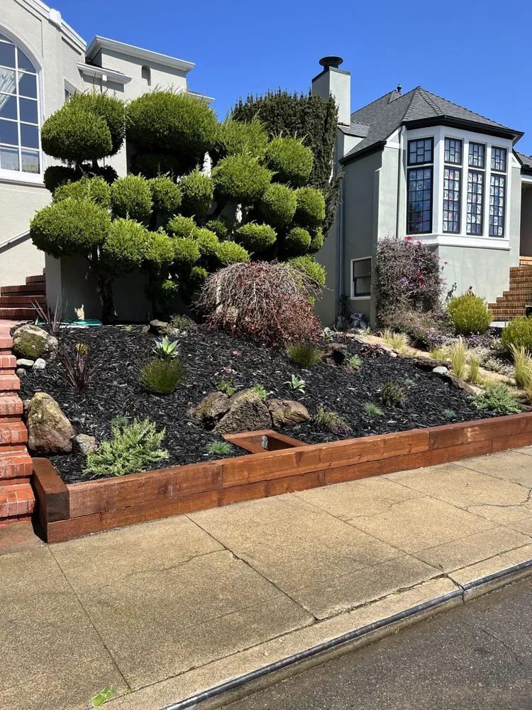 Local yard cleanup service in Richmond, CA - Bay Area Maintenance