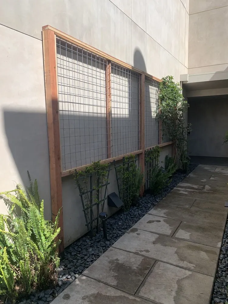 Reliable lawn mowing service for year-round maintenance in Richmond, CA by Bay Area Maintenance