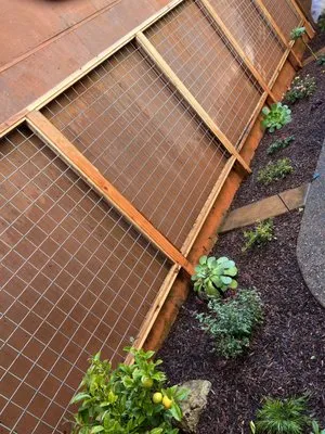 Bay Area Maintenance Logo