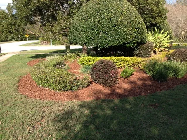 Expert residential landscaping for year-round maintenance in Land O' Lakes, FL by Bay Area Mulch And Landscape