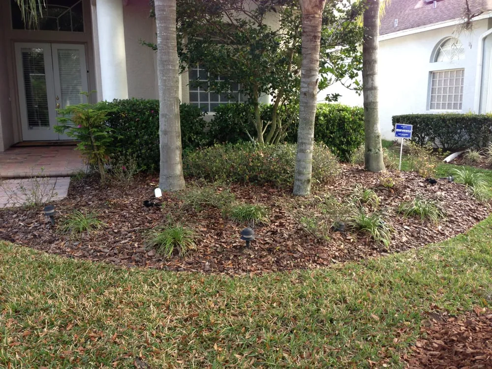 Trusted yard cleanup service experts serving Land O' Lakes, FL - Bay Area Mulch And Landscape