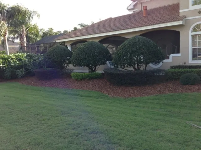 Affordable landscape installation for residential properties across Land O' Lakes, FL - Bay Area Mulch And Landscape