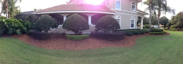 Professional yard cleanup service experts serving Land O' Lakes, FL - Bay Area Mulch And Landscape